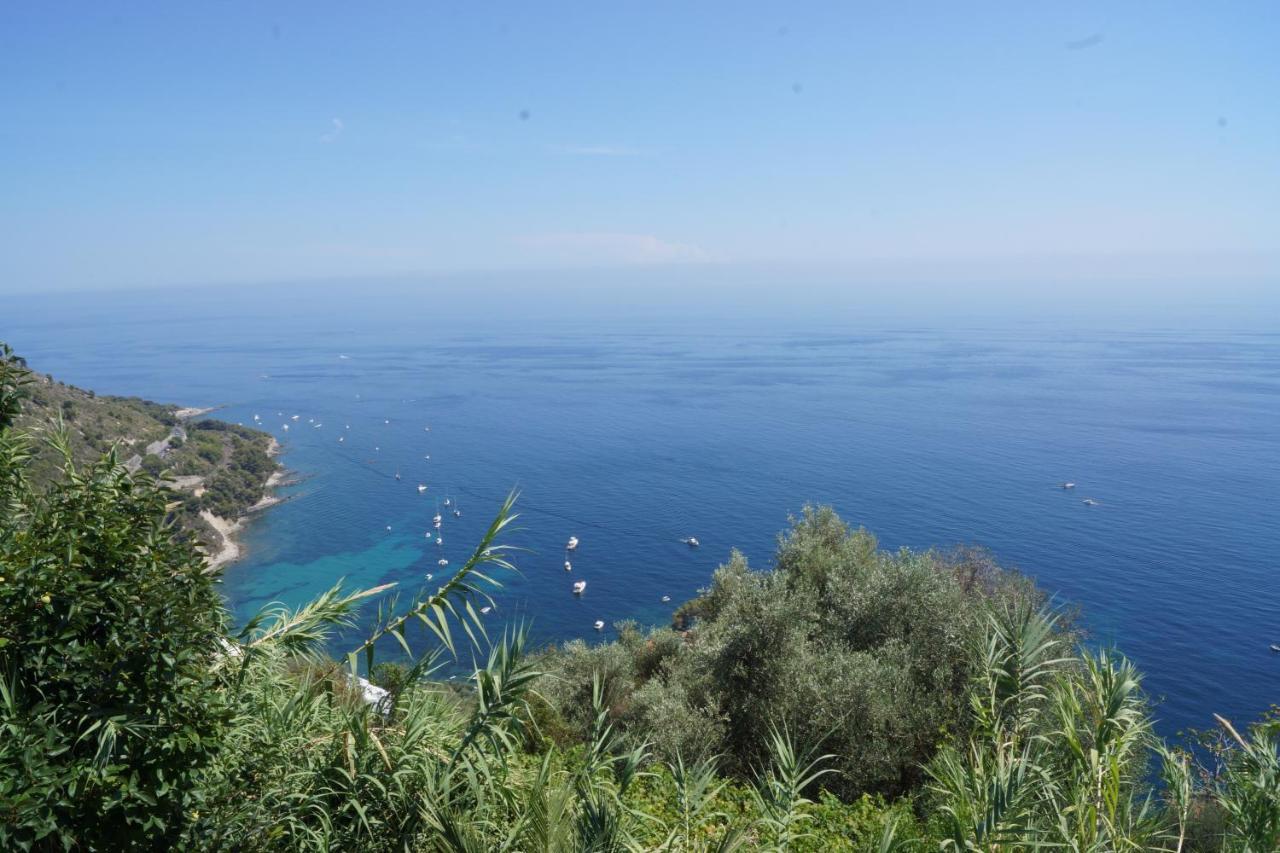 Total Sea View Grimaldi Διαμέρισμα Βεντιμίλια Εξωτερικό φωτογραφία